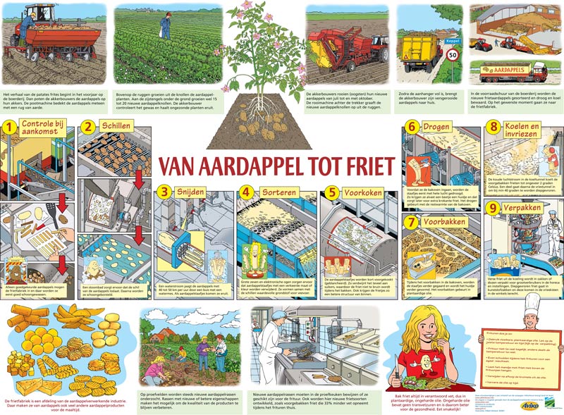 aardappelen verwerken tot frites en vlokken