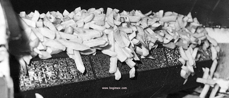 Verse voorgebakken frites