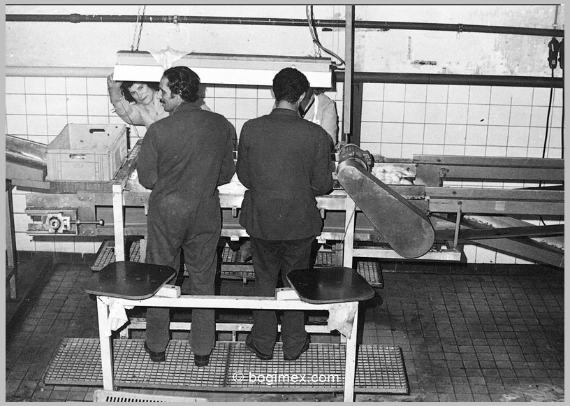 manuele controle vaan aardappelen na het schillen