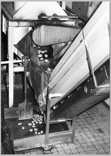 opvoerband naar stoomschiller